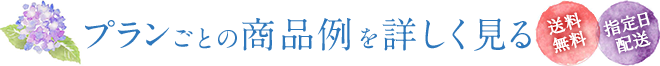 お中元プランごとの商品