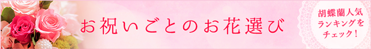 就任祝い 昇進祝い のし 水引のマナーと書き方 開業 開店 移転祝いにwebカタログギフト オフィスギフト