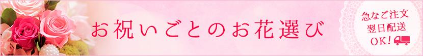 お祝いごとのお花選び胡蝶蘭人気ランキング