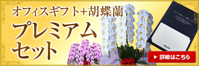 お祝いに贈る胡蝶蘭が買えるおすすめの通販サイトランキング！産地直送の胡蝶蘭を買えるサイトや、レンタルできるサイトについてもご紹介します |  開業・開店・移転祝いにWebカタログギフト「オフィスギフト」