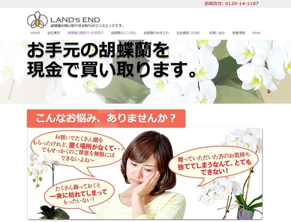胡蝶蘭の処分方法を解説 捨て方は 引き取りや買取もしてもらえる いただいた胡蝶蘭との素敵なお別れの仕方 開業 開店 移転祝いにwebカタログギフト オフィスギフト 胡蝶蘭の処分方法を解説 捨て方は 引き取りや買取もしてもらえる いただいた胡蝶蘭との素敵なお別れの仕方 開業 開店 移転祝いにwebカタログギフト オフィスギフト