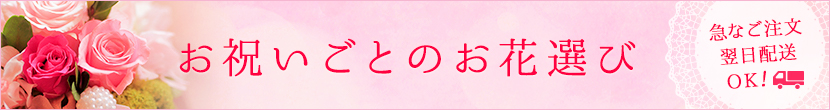 お祝いごとの花選び_胡蝶蘭