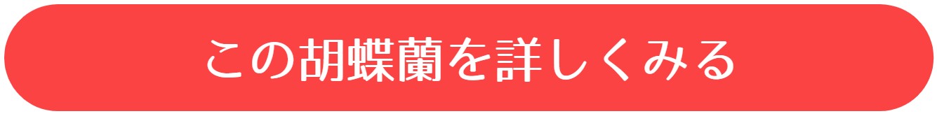選挙当選祝い 陣中見舞い のし 水引 表書きのマナーと書き方 開業 開店 移転祝いにwebカタログギフト オフィスギフト 選挙当選祝い 陣中見舞い のし 水引 表書きのマナーと書き方 開業 開店 移転祝いにwebカタログギフト オフィスギフト