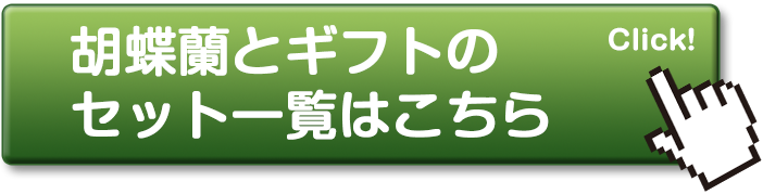 胡蝶蘭とギフトのセット一覧はこちら