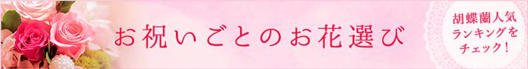 お祝い事のお花選び