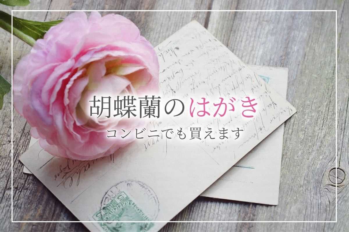 胡蝶蘭のはがきはコンビニでも買える 喪中はがきや寒中見舞いに使う際のマナーや値段 供花としての胡蝶蘭の意味について紹介 開業 開店 移転祝いにwebカタログギフト オフィスギフト