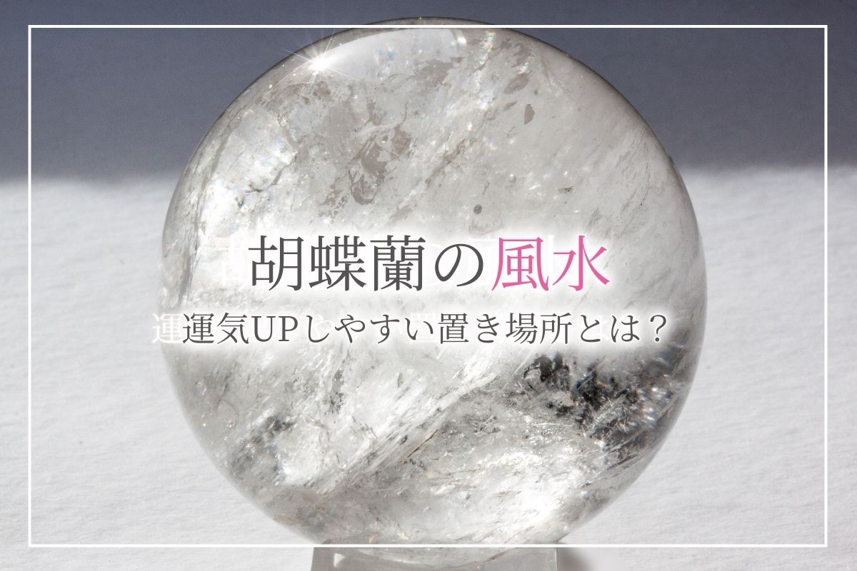 【胡蝶蘭の風水】運気がＵＰしやすい置き場所や、造花よりも生花が良い理由について紹介！ピンクの胡蝶蘭は特に運気がアップする？