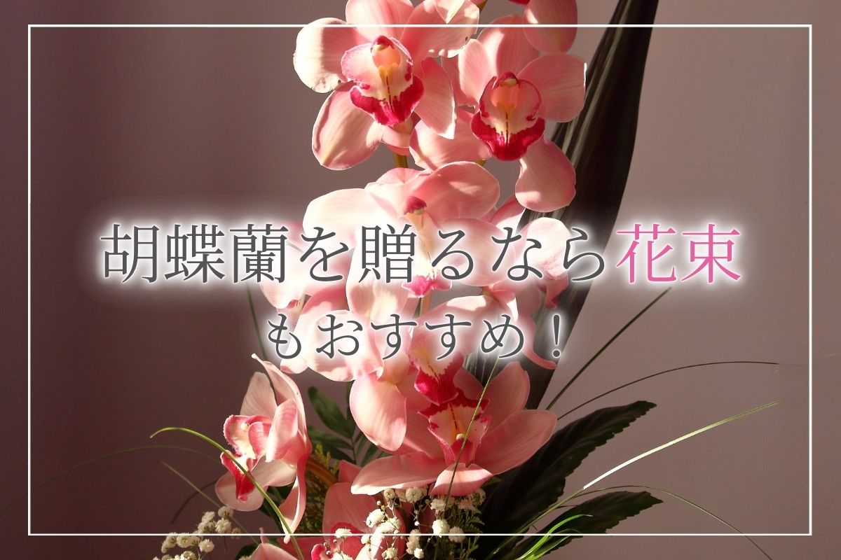 お祝いに胡蝶蘭を贈るなら花束がおすすめ 価格や贈る際のマナー おすすめシーンをご紹介 開業 開店 移転祝いにwebカタログギフト オフィスギフト