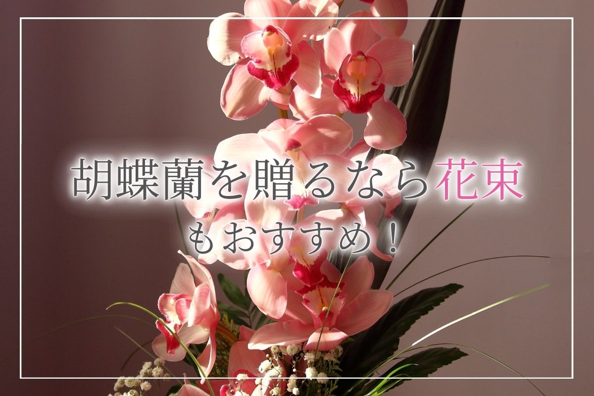 お祝いに胡蝶蘭を贈るなら花束がおすすめ！価格や贈る際のマナー、おすすめシーンをご紹介