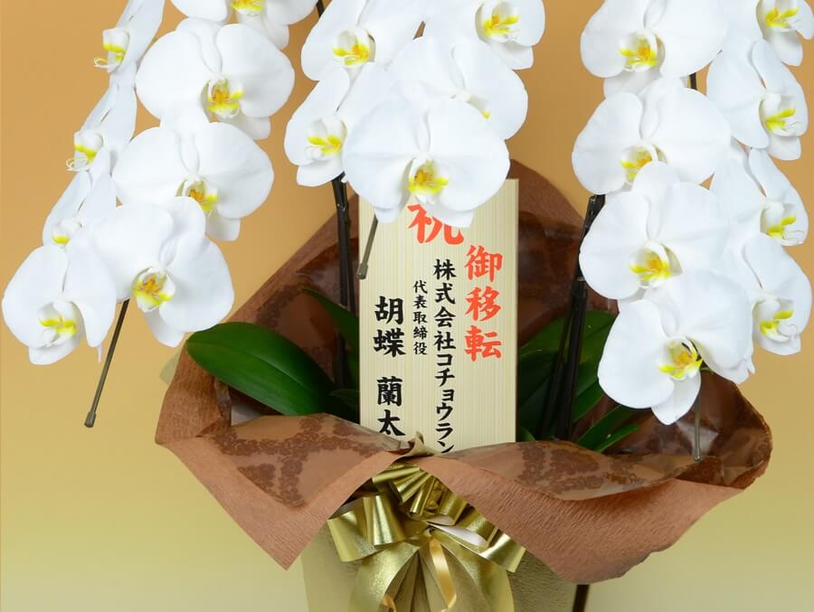 立て札について