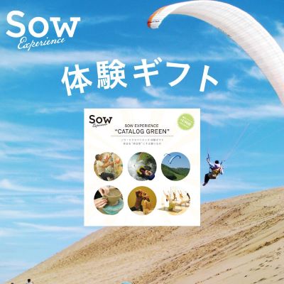 sow体験