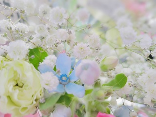 移転祝いにおすすめのお菓子 贈り物に最適なスイーツの選び方とマナーや相場など失敗しないためのポイントを紹介 開業 開店 移転祝い にwebカタログギフト オフィスギフト 移転祝いにおすすめのお菓子 贈り物に最適なスイーツの選び方とマナーや相場など失敗しないためのポイントを紹介 開業 開店 移転祝い にwebカタログギフト オフィスギフト