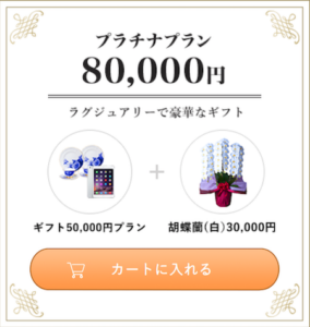 プラチナプラン80,000円