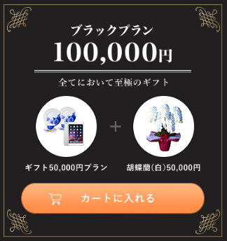 プレミアムセット10万円