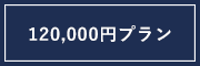 12万円プラン