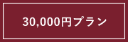 3万円プラン