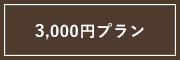 3000円プラン