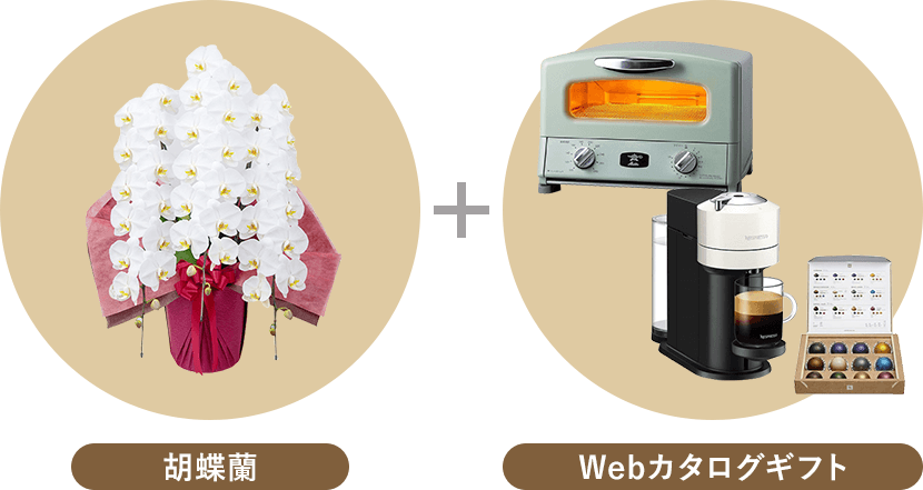 胡蝶蘭とwebカタログギフト