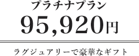 プラチナプラン 95,920円