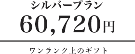 シルバープラン5万円