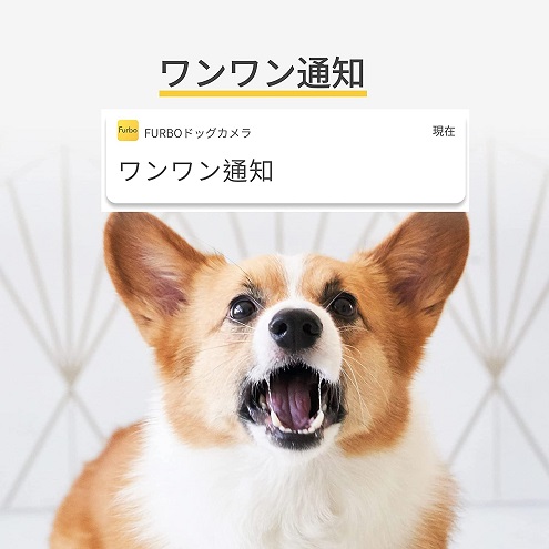 【Furbo】ドッグカメラ - 360°ビュー |開業・開店・移転祝いにWebカタログギフト「オフィスギフト」