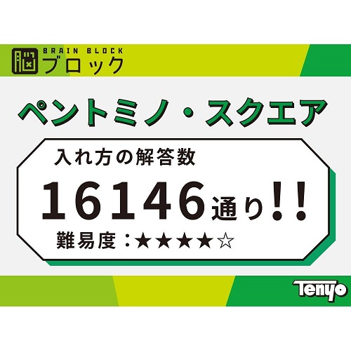 【テンヨー】永久に遊べるパズル・脳ブロック Level4