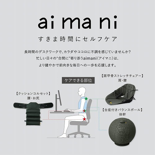 【キングジム】バランスチェア 台座付き aimani GRN