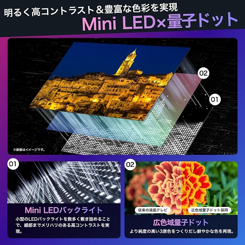 【ハイセンス】Mini LEDバックライト 液晶テレビ 65V型