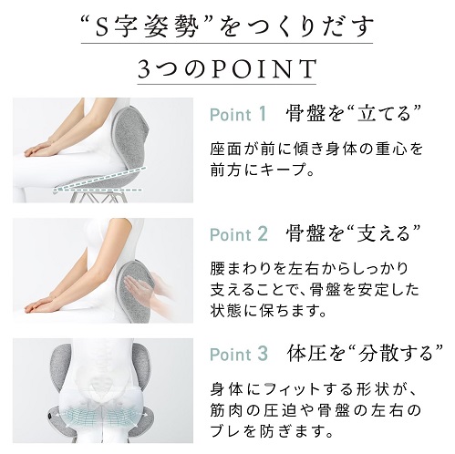 【MTG】PREMIUM Series MTG 骨盤サポートチェア BG