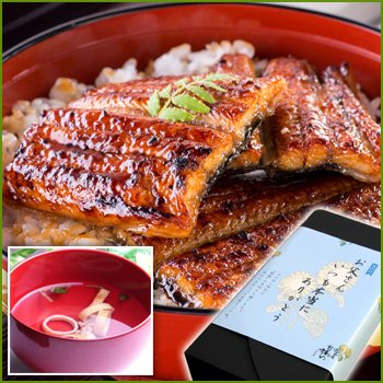 国産うなぎ 蒲焼き カットセット