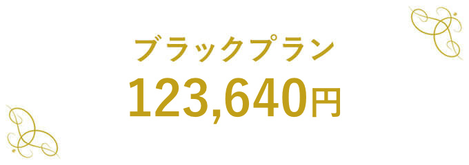 ブラックプラン 123,640円