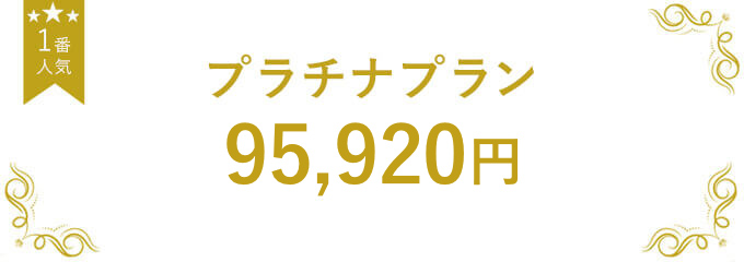 プラチナプラン 95,920円