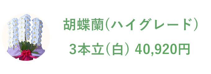 胡蝶蘭 ホワイト 3本立 30,000円