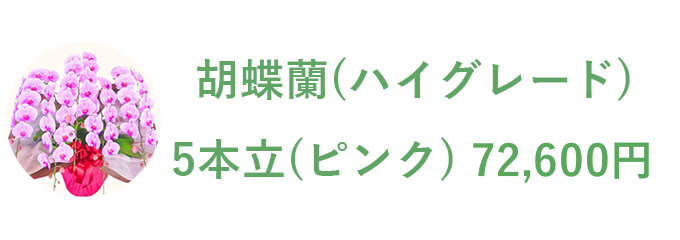 胡蝶蘭 ピンク 5本立 50,000円