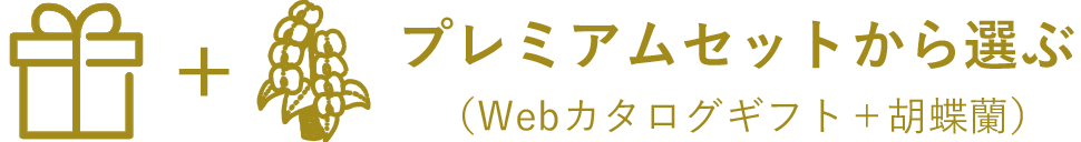 プレミアムセットから選ぶ