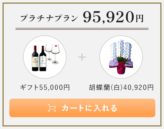 プラチナプラン 95,920円