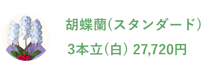 胡蝶蘭（スタンダード） 3本立（白）27,720円