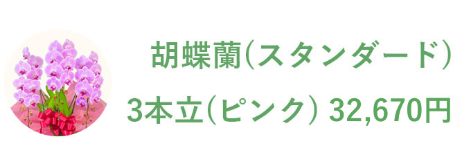 胡蝶蘭（スタンダード） 3本立（ピンク）32,670円