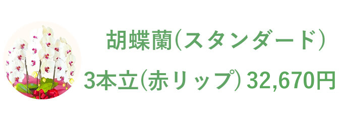 胡蝶蘭（スタンダード） 3本立（赤リップ）32,670円