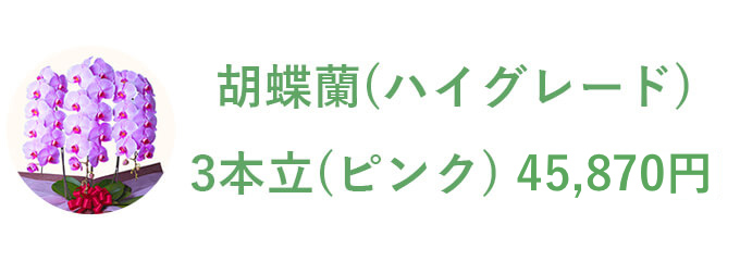 胡蝶蘭（ハイグレード） 3本立（ピンク）45,870円