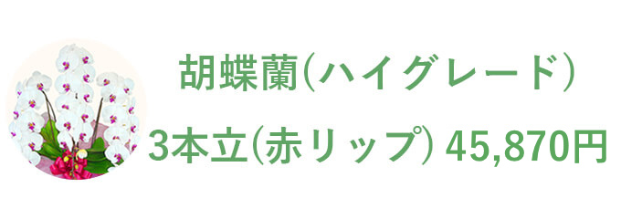 胡蝶蘭（ハイグレード） 3本立（赤リップ）45,870円