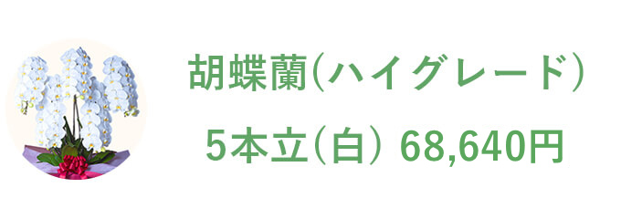 胡蝶蘭（ハイグレード） 5本立（白）68,640円