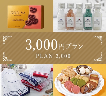 3,000円プラン