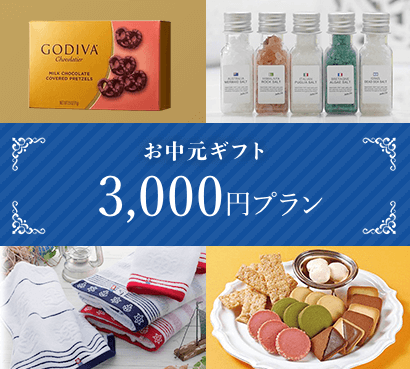 3,000円プラン