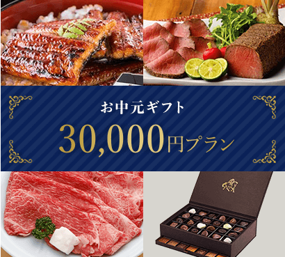 30,000円プラン