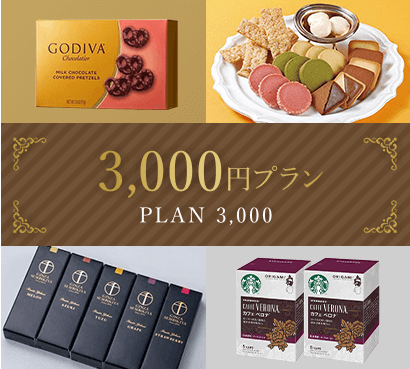 3,000円プラン