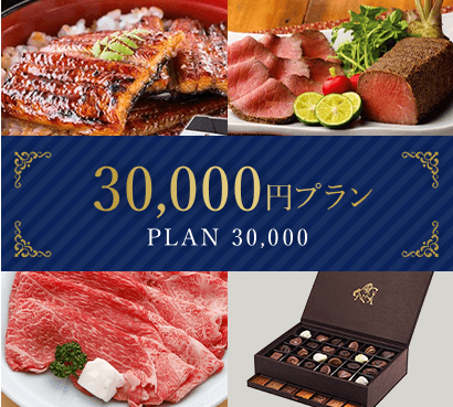 30,000円プラン