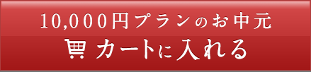 10,000円プランのお中元　カートに入れる