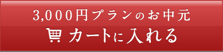 3,000円プランのお中元　カートに入れる