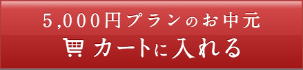 5,000円プランのお中元　カートに入れる